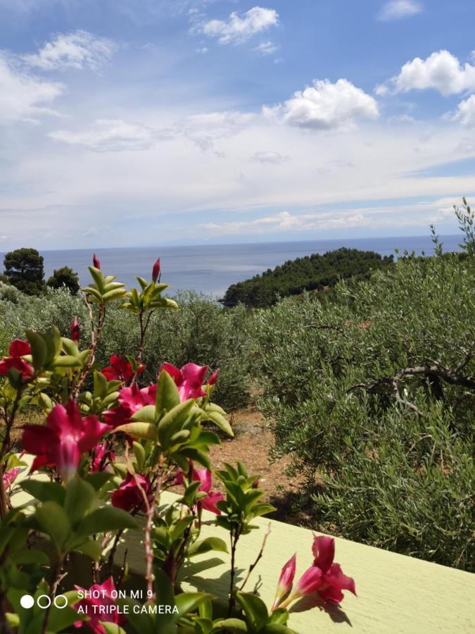 Apartamento Elia House 1 Astoning Sea View Among The Olive Trees Patitírion Exterior foto