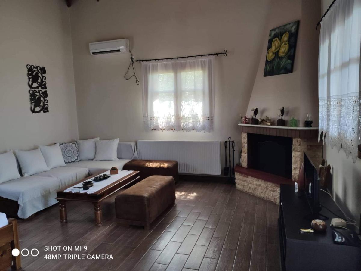 Apartamento Elia House 1 Astoning Sea View Among The Olive Trees Patitírion Exterior foto
