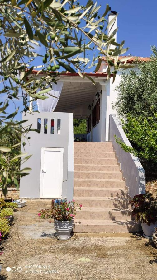 Apartamento Elia House 1 Astoning Sea View Among The Olive Trees Patitírion Exterior foto